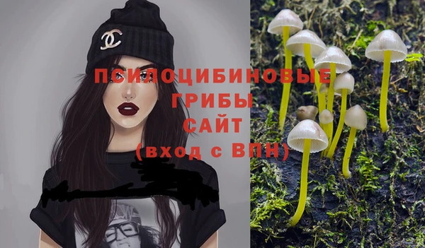 шишки Балахна