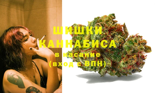 ПСИЛОЦИБИНОВЫЕ ГРИБЫ Балабаново