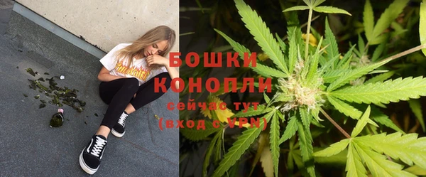 ПСИЛОЦИБИНОВЫЕ ГРИБЫ Балабаново