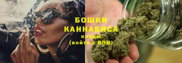 ПСИЛОЦИБИНОВЫЕ ГРИБЫ Балабаново