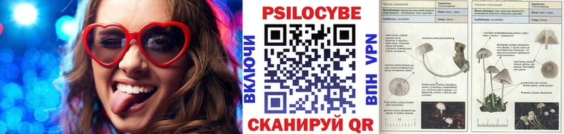 Галлюциногенные грибы Psilocybine cubensis гидра ТОР Нижнеудинск